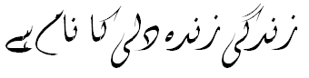 urdu fonts pack